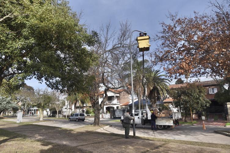 Trabajos de fumigación, iluminación y bacheo previstos para este viernes