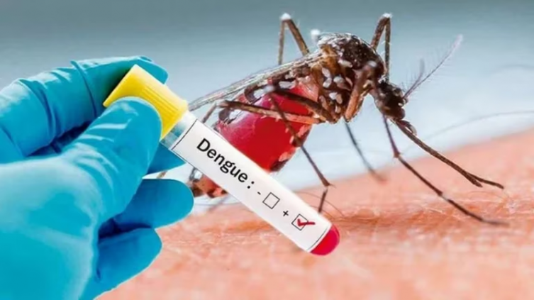 Crecen los casos de dengue en cinco provincias
