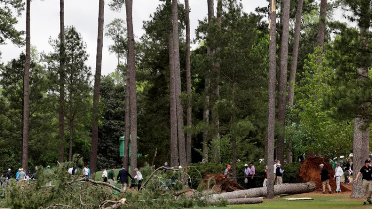 Masters de Augusta: tres pinos cayeron sobre el público