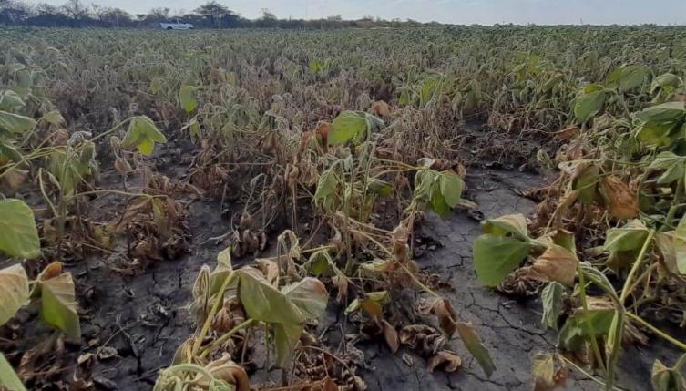 La provincia asiste a productores del norte afectados por la intensa sequía