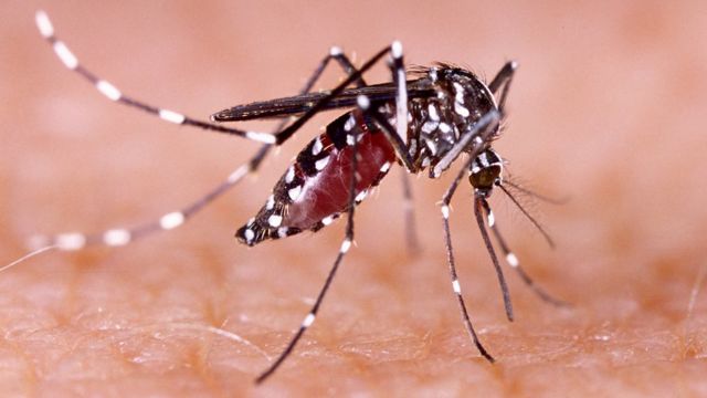 Confirman la primera muerte por dengue en la capital provincial