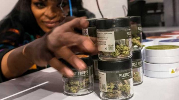 Cannabis: extendieron la autorización del cultivo para uso terapéutico