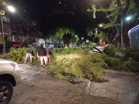 Los fuertes vientos del domingo: la Municipalidad recibió 40 reclamos