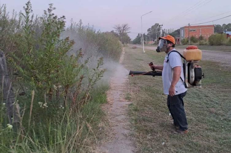 Dengue: desciende la cantidad de nuevos casos en la ciudad