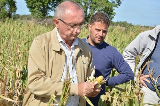 Costamagna dijo que mejoran las condiciones para las siembras de trigo, maíz y girasol