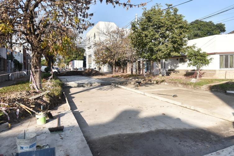 Trabajos de fumigación, iluminación y bacheo previstos para este lunes