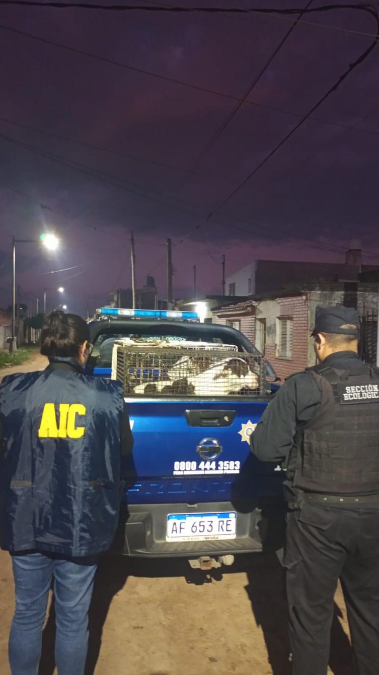 Arrestaron al dueño de los perros que atacaron a la beba de 18 meses y su abuela