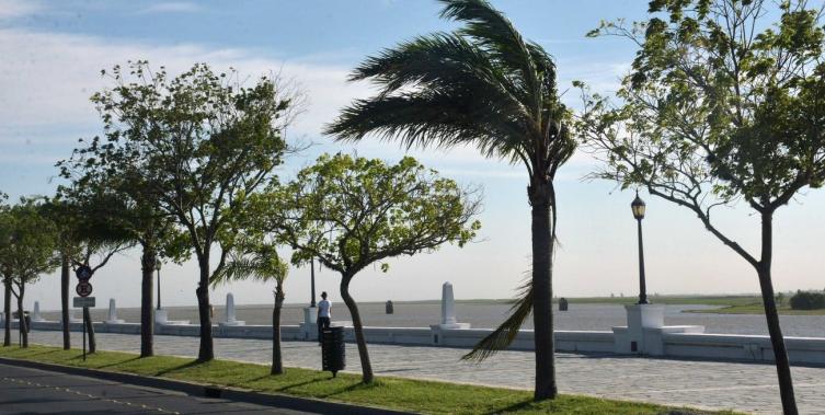 Alerta por fuertes vientos: las ráfagas podrían alcanzar los 75 km/h