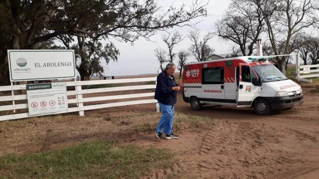 Un hombre murió al caer sobre su cabeza el árbol que estaba podando