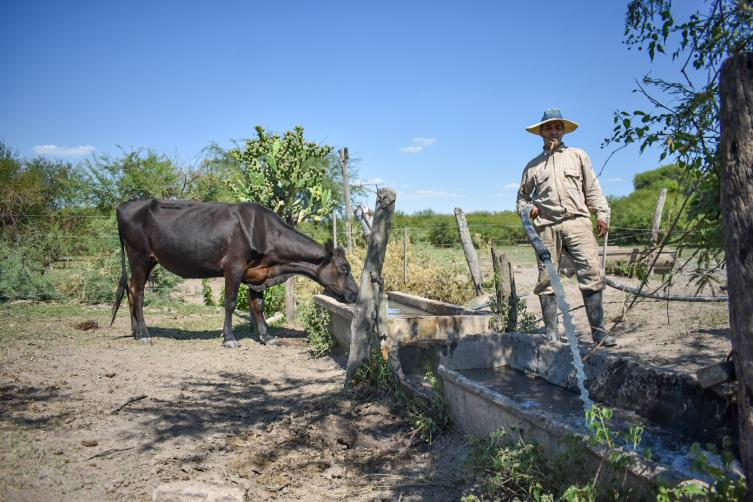 La provincia abre la inscripción a nuevos créditos para el sector agropecuario