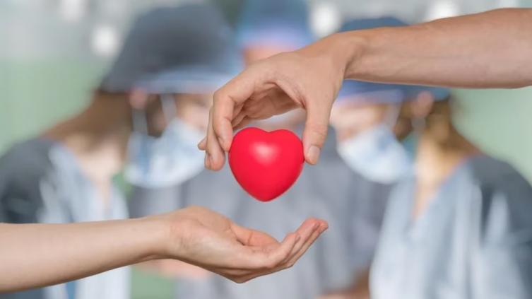 Día Mundial del Donante de Médula Ósea: la importancia de crear conciencia para salvar vidas