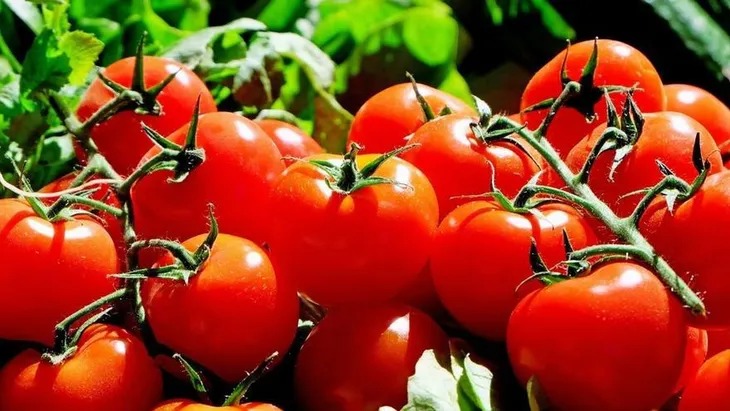 Los beneficios únicos del tomate para la salud: corazón, visión, defensas y mucho más