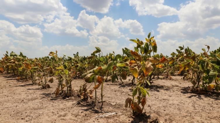 La provincia homologó a nivel nacional la prórroga de la Emergencia Agropecuaria por sequía 