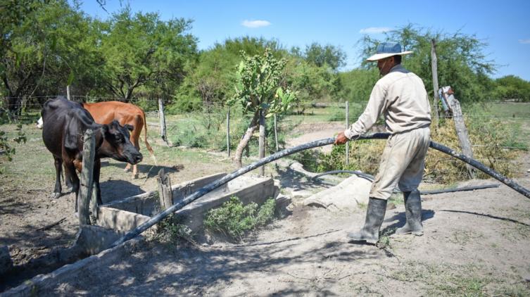 Prorrogan la inscripción a la asistencia económica para productores con Certificado de Emergencia Agropecuaria