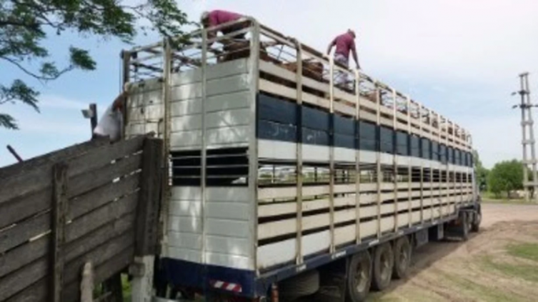 Media sanción para diferir impuestos al transporte de cargas del agro 