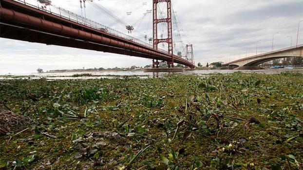 Último pronóstico del INA: se espera el pico en Santa Fe para el 21 de noviembre