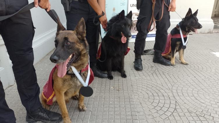 Por primera vez la Sección Perros de la Policía Santafesina fue premiada a nivel nacional