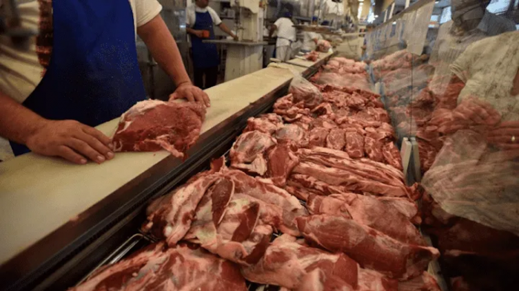 Los cortes que se aconsejan llevar para cuidar el bolsillo