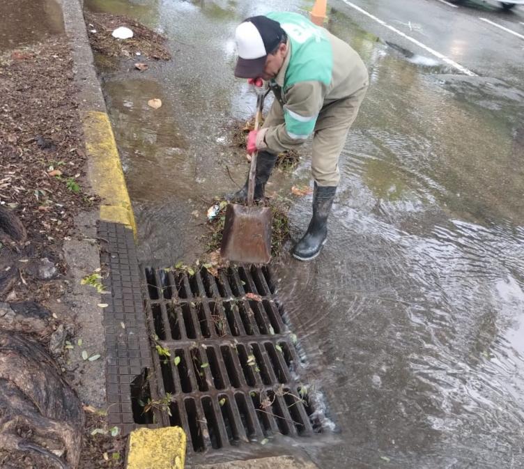 El municipio recepcionó más de 100 reclamos por árboles caídos, cortes de cables y columnas en riesgo