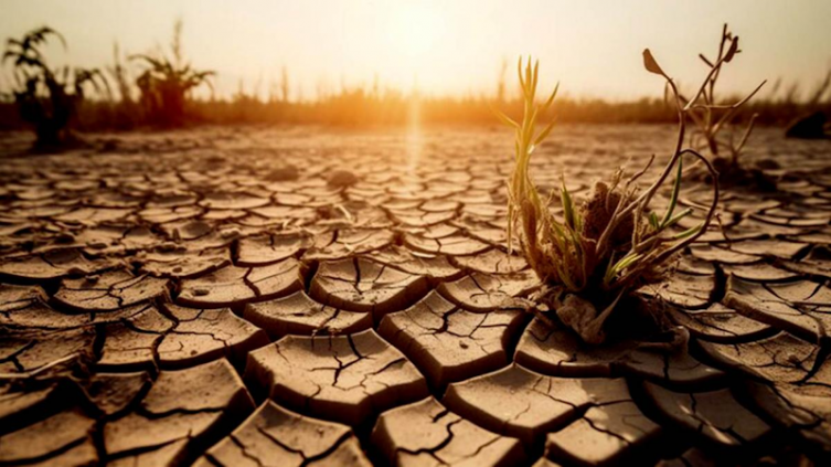 Contra cambio climático hasta 2030: anuncian inversión de US$ 15.000 millones