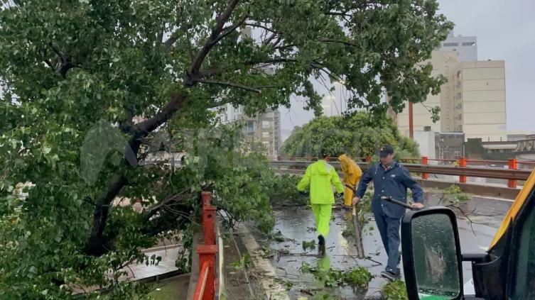 Tormenta en Santa Fe: minuto a minuto, la información sobre calles anegadas, colectivos y cortes de luz en la región