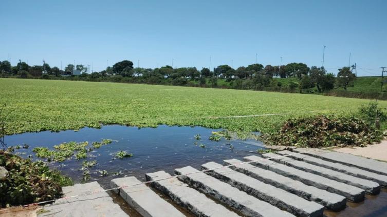 La Municipalidad trabaja para recuperar el Lago del Parque Sur