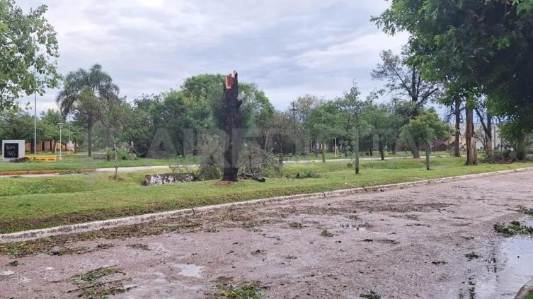 Un temporal con fuertes ráfagas de vientos en el norte de la provincia de Santa Fe provocó voladuras de techos, cortes de luz y árboles caídos