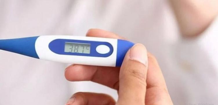 Un hombre falleció en Rosario por Fiebre Hemorrágica Argentina y recomendaron vacunarse