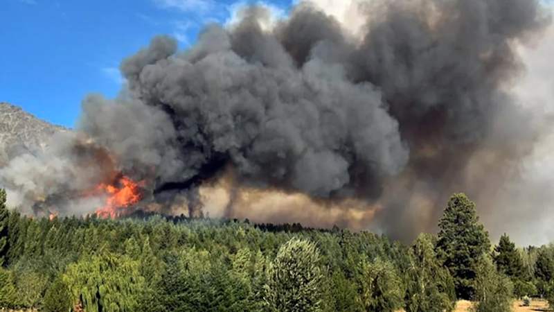 Chubut: incendio en Parque Los Alerces ya arrasó 65 hectáreas