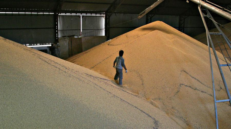 Agropecuarios ratificaron su rechazo a los derechos de exportación