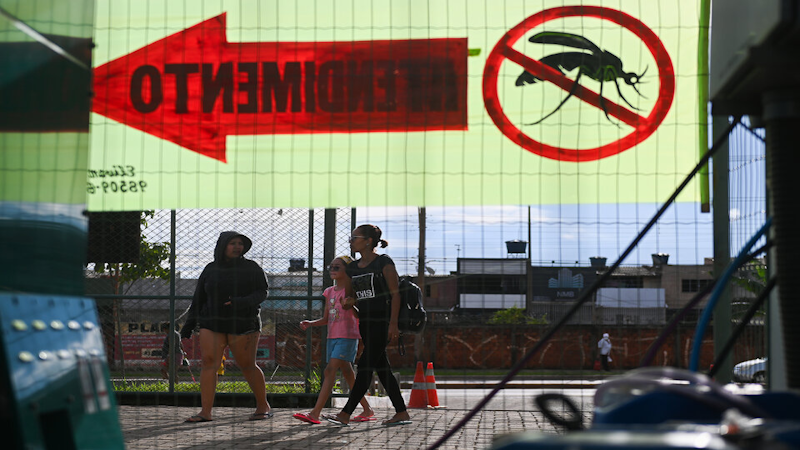 Brasil: crece el número de fallecidos por dengue en lo que va del año 