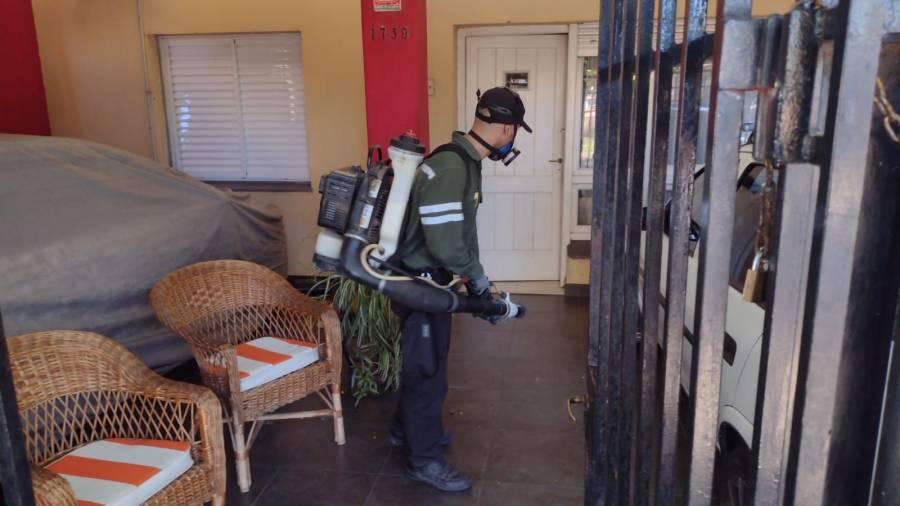Dengue: las dos modalidades de trabajo implementadas en barrios