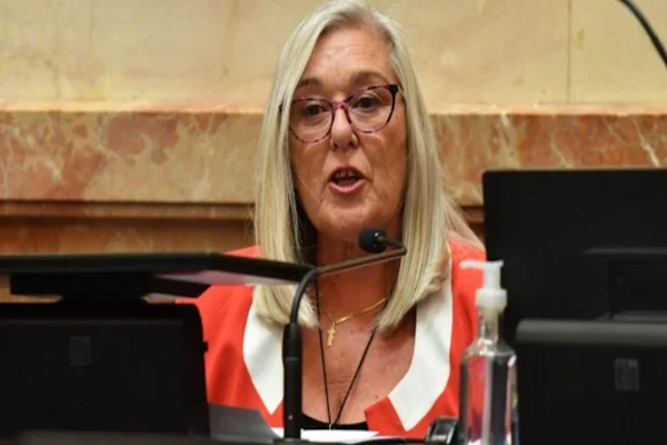 Una senadora que votó contra el DNU denunció que la amenazaron de muerte