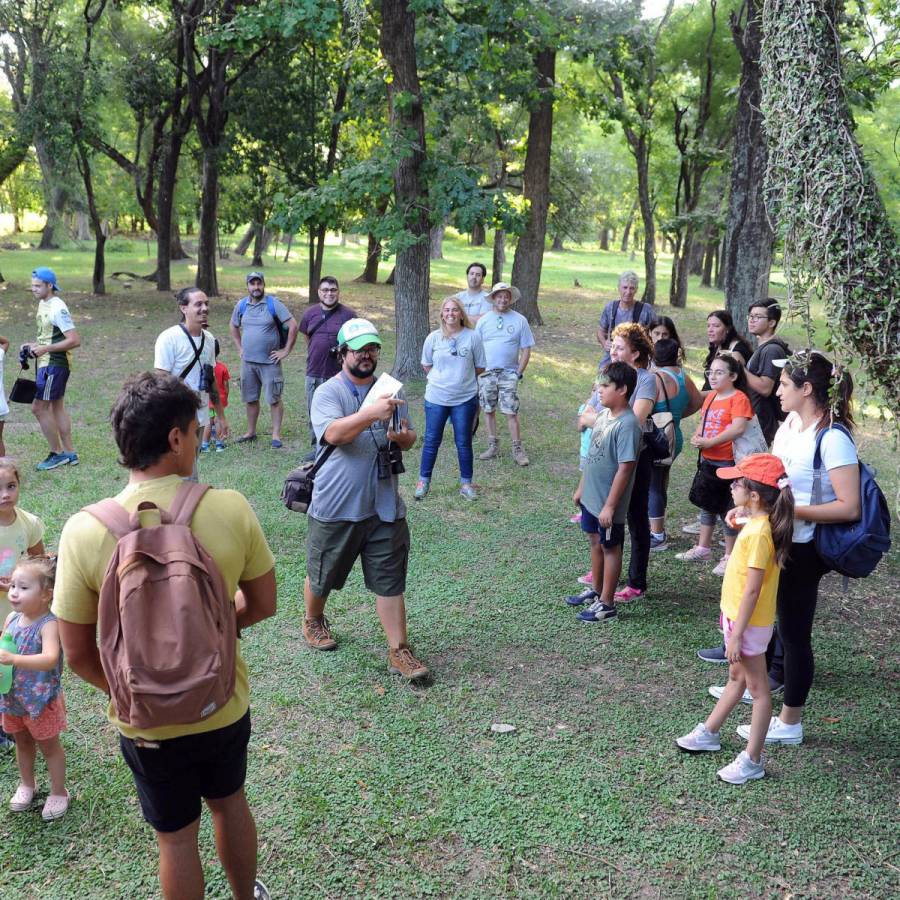 El Jardín Botánico se prepara para celebrar el Día Internacional de los Bosques