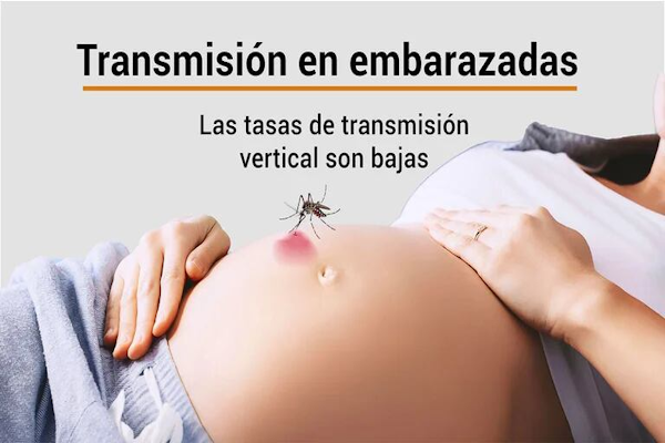 Los riesgos de contraer dengue en el embarazo