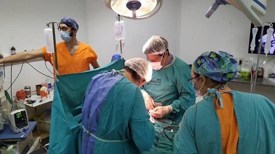 Se llevaron a cabo cuatro donaciones de órganos en la provincia en pocos días