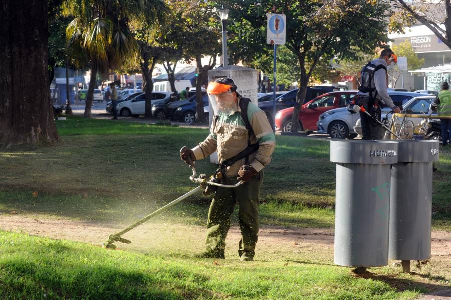Servicios municipales previstos para esta semana