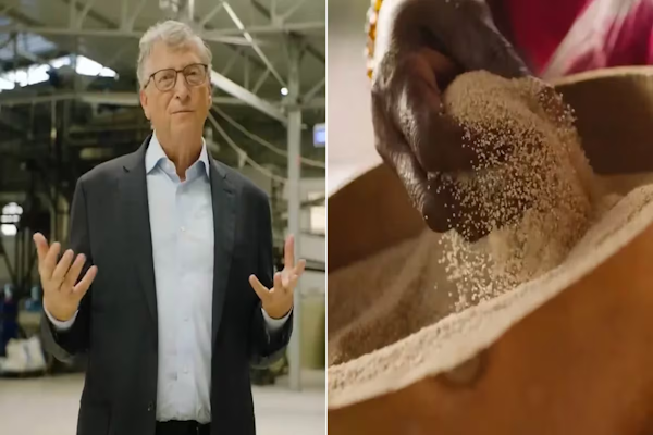 Bill Gates encontró la solución para la desnutrición mundial