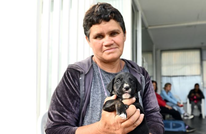 Mes del Animal de Compañía: continúan las atenciones y castraciones 