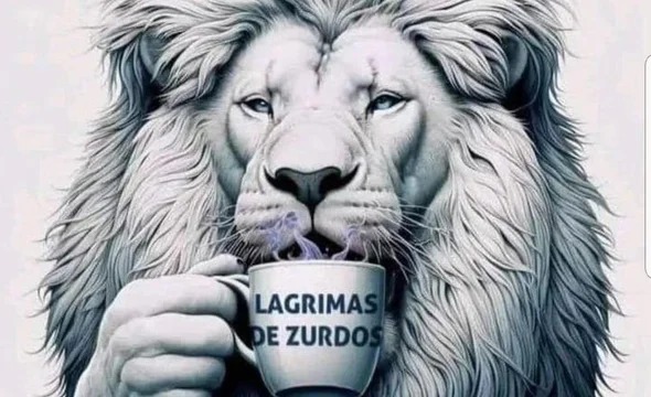 Milei utilizó las redes sociales para referirse a la marcha con un mensaje controvertido