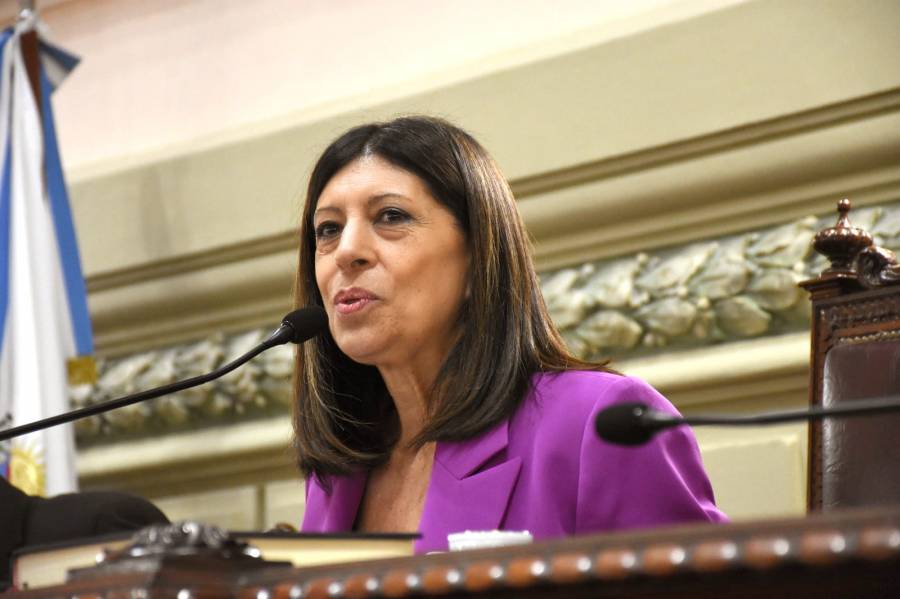 Clara García fue reelecta presidenta de la Cámara de Diputados y Diputadas