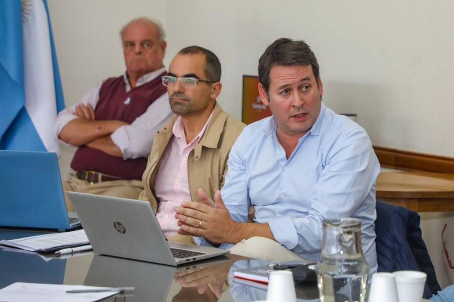 Recomienda declarar “plaga” a la “chicharrita de maíz”