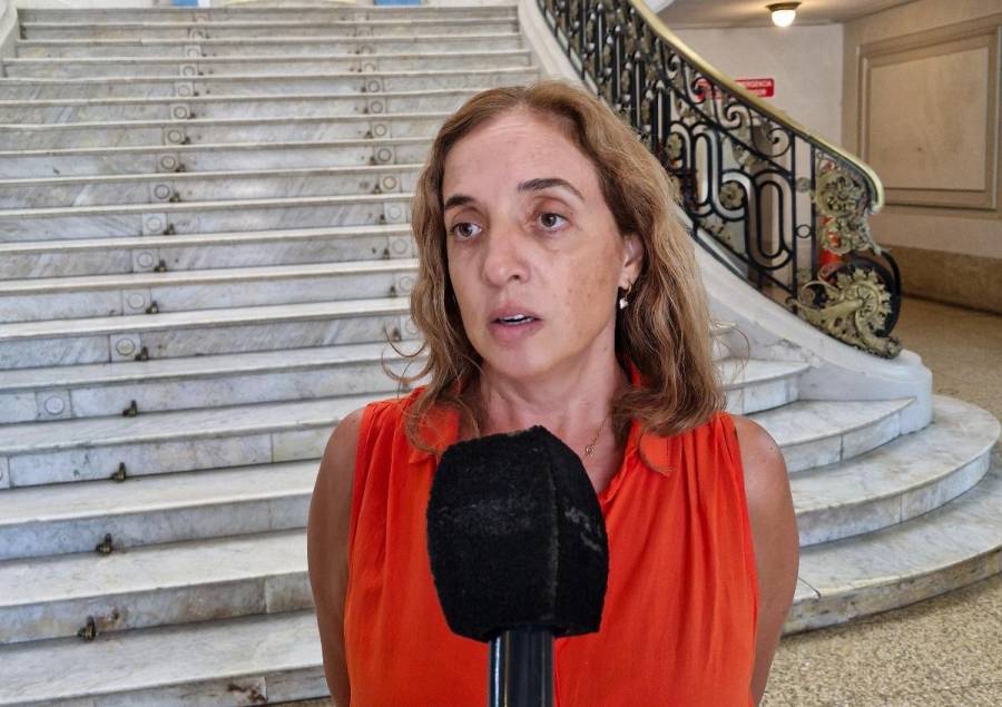 Dengue: tercera semana con descenso de la curva de casos