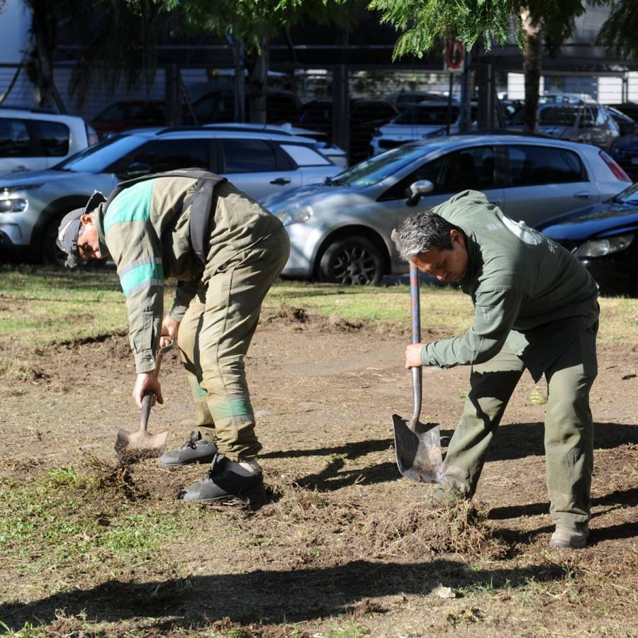 Servicios municipales previstos para esta semana