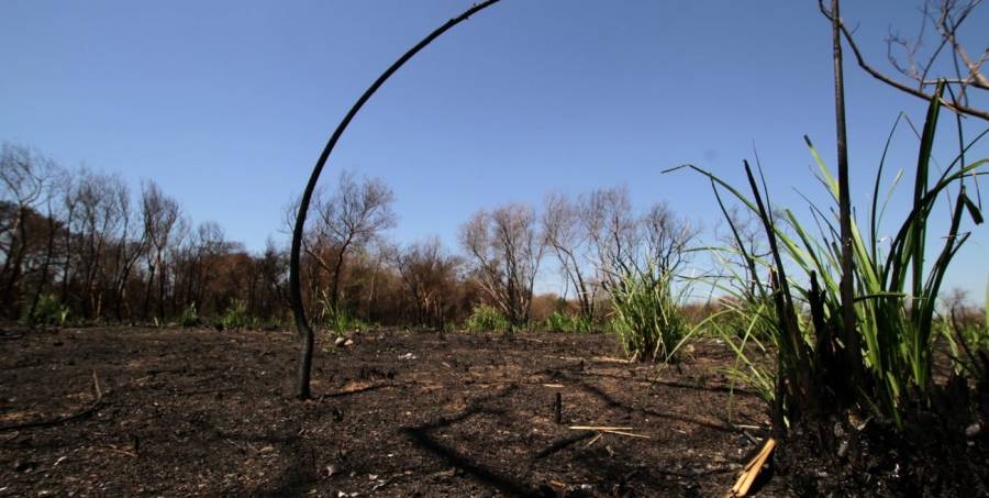 Santa Fe capacitará en cuidado del ambiente a integrantes de los tres poderes