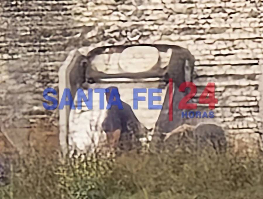 Santafesino murió en una carrera tras chocar el auto contra un paredón