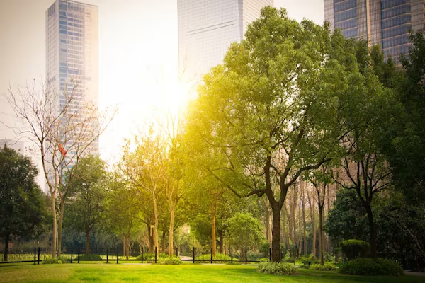Día Mundial del Árbol: cómo ayudan a las ciudades a ser sostenibles