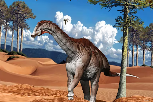 Hallan nueva especie de dinosaurio en la Patagonia