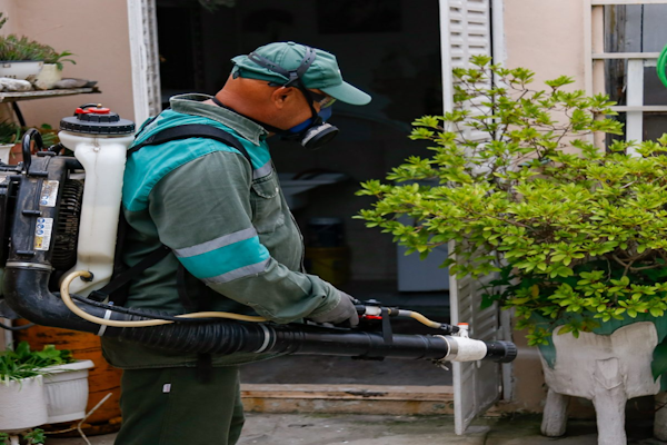 Habrá jornadas de concientización y descacharrado