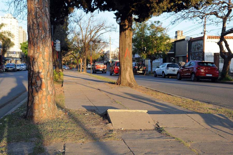 Se licitará la reparación del cantero central de Avenida J.J. Paso